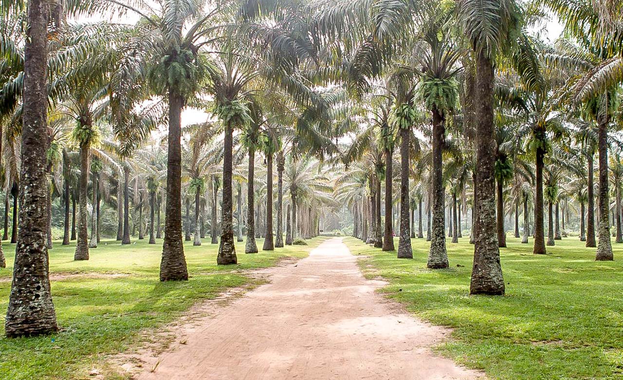 Jardin Botanique de Bingerville