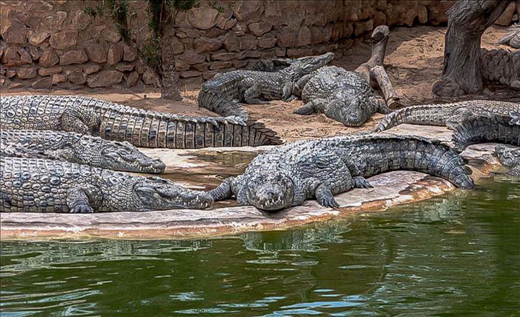 Découverte Des Attractions Du Sud-Comoé | Discover Ivorycoast